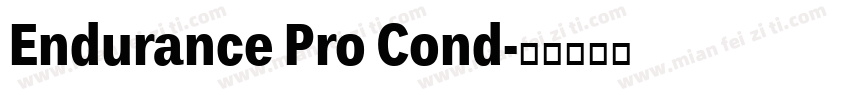 Endurance Pro Cond字体转换